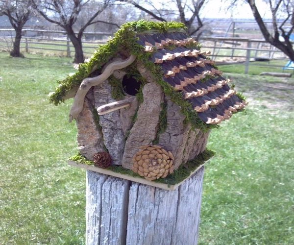 DIY Bird House Ideas截图1