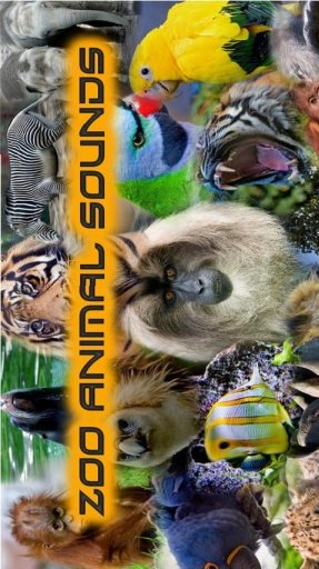 Zoo Animal Sounds截图2