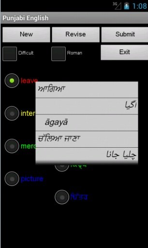 English Punjabi Tutor截图1