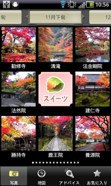 京都 紅葉截图3