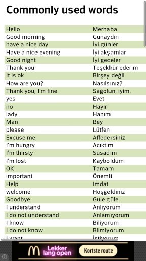 English Turkish language app截图3