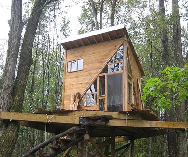 DIY Tree House Ideas截图4