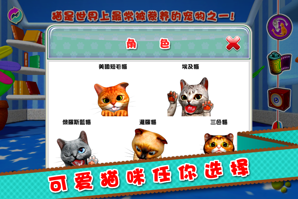 灵巧敏捷的猫截图9