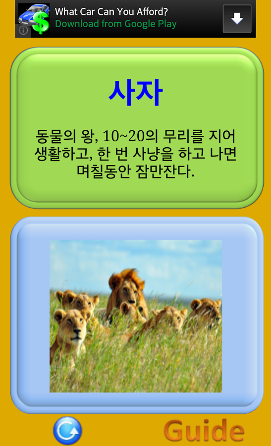 Learning Korean - Animal Study截图4