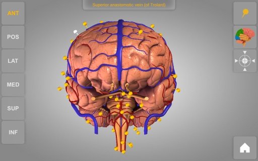 Brain 3D Anatomy Lite截图2