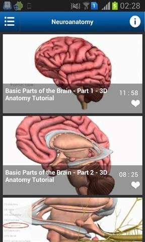 解剖学3D教程截图2