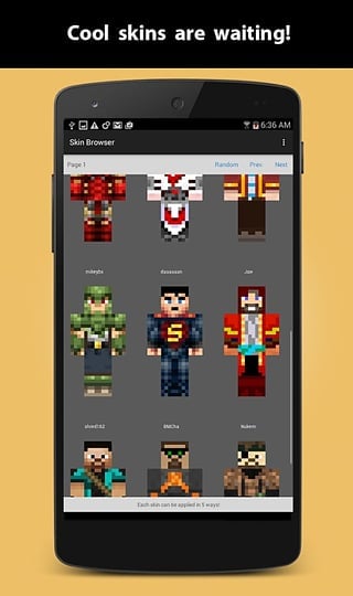 Skin Browser截图9