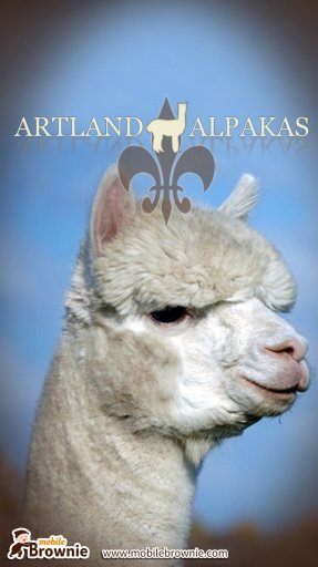 Artland Alpacas截图2