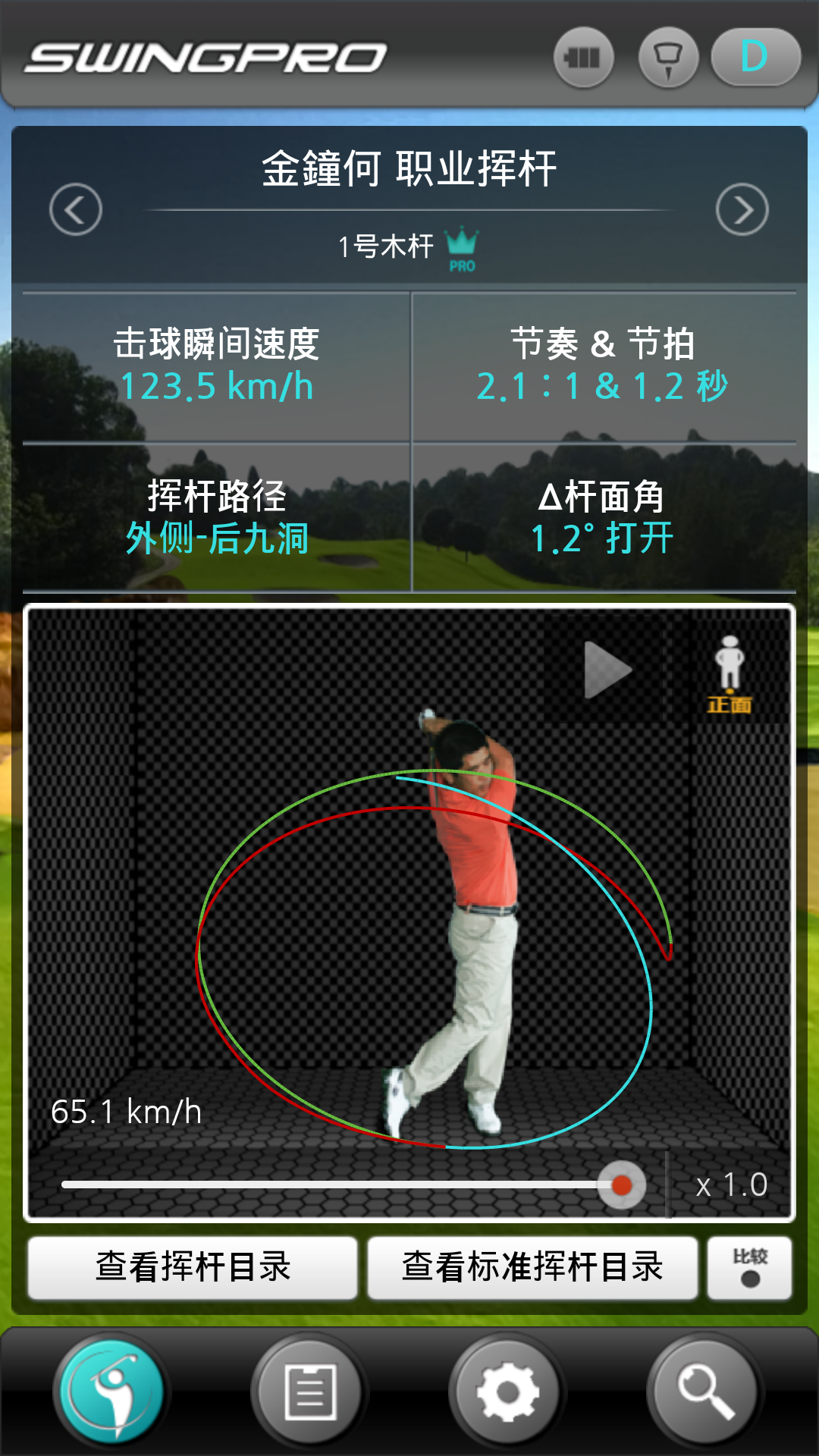 SwingPro 100截图5