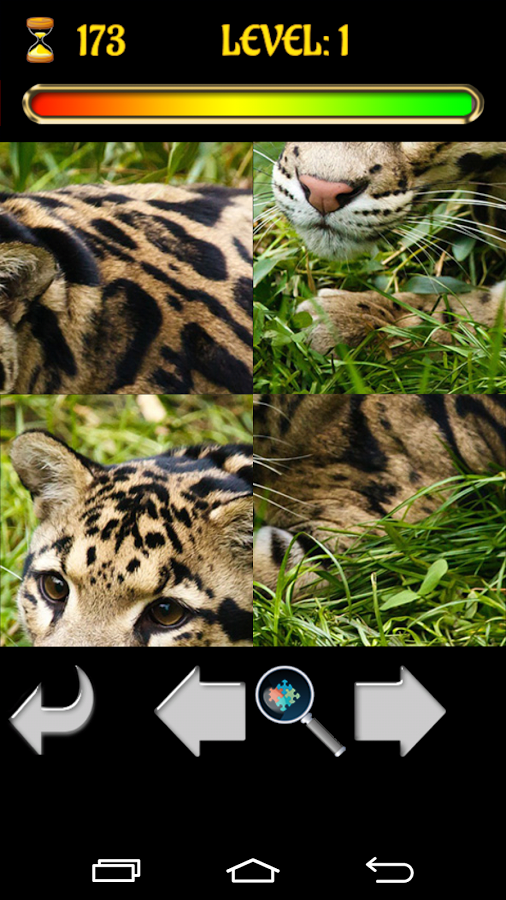 Big Cats Puzzles – Free Jigsaw截图2