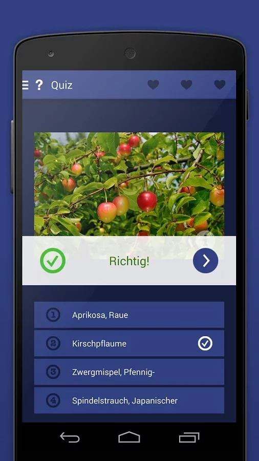 Früchte bestimmen 2 LITE截图10