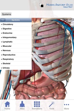 Human Anatomy Atlas (Org...截图