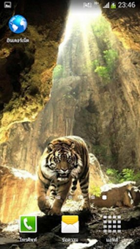 Tiger Wallaper截图4