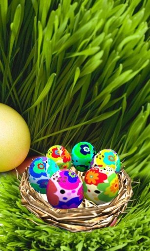 3D Easter Eggs截图8