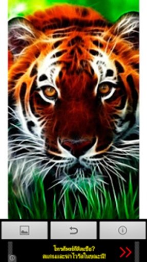 Tiger Wallaper截图2