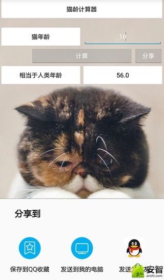 猫龄计算器截图4