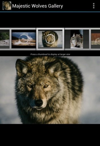 Majestic Wolves Gallery截图1