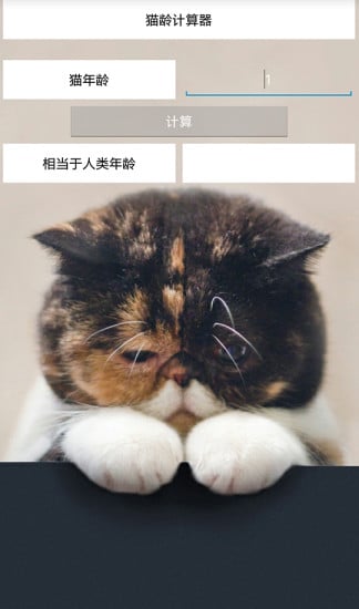 猫龄计算器截图1