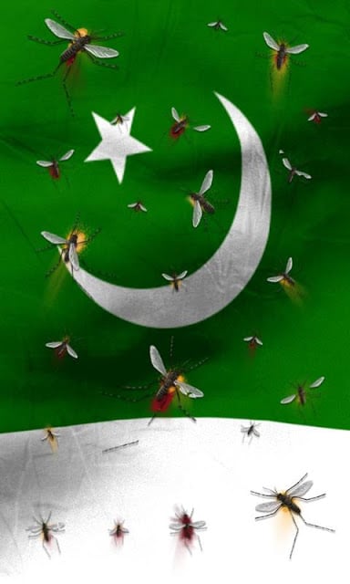 Pakistan flag free截图2