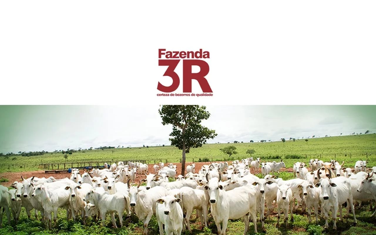 Fazenda 3r Figueir&atilde;o - M...截图1