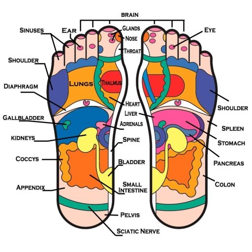 Foot Reflexology截图1