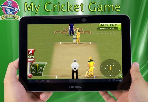 My Cricket Game截图6