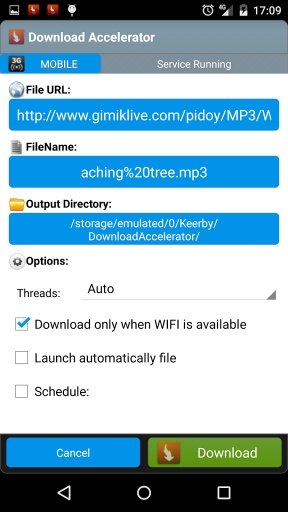 Download Manager Accelerator截图1