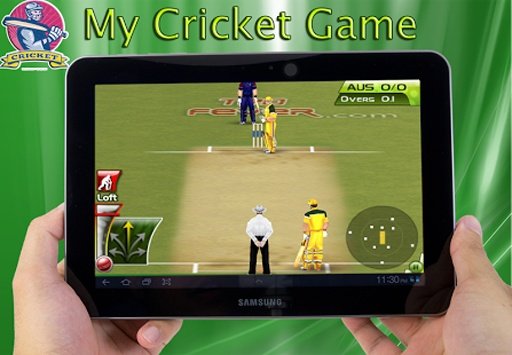 My Cricket Game截图5