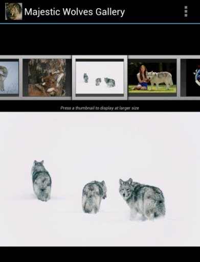 Majestic Wolves Gallery截图3