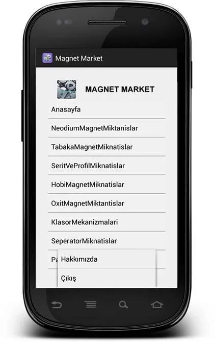 Magnet Market截图1