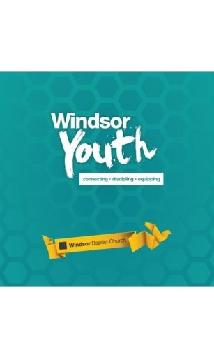 Windsor Youth截图1