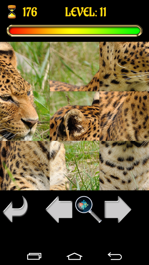 Big Cats Puzzles – Free Jigsaw截图4