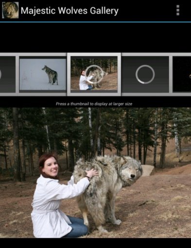 Majestic Wolves Gallery截图4