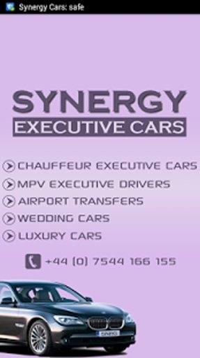 Synergy Cars截图2