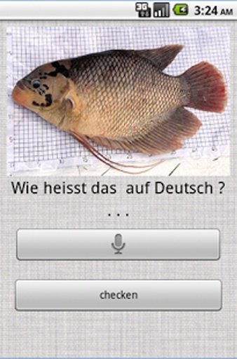 Learn German with Bubble Bee截图9