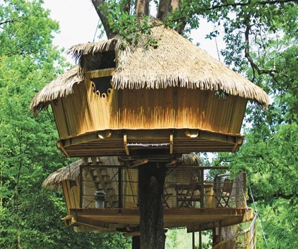 DIY Tree House Ideas截图5