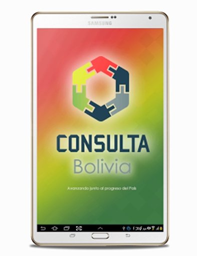 Consulta Bolivia截图2