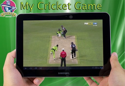 My Cricket Game截图1