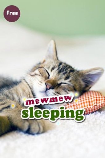 Mewmew Mewmew Cat Alarm Clock截图3