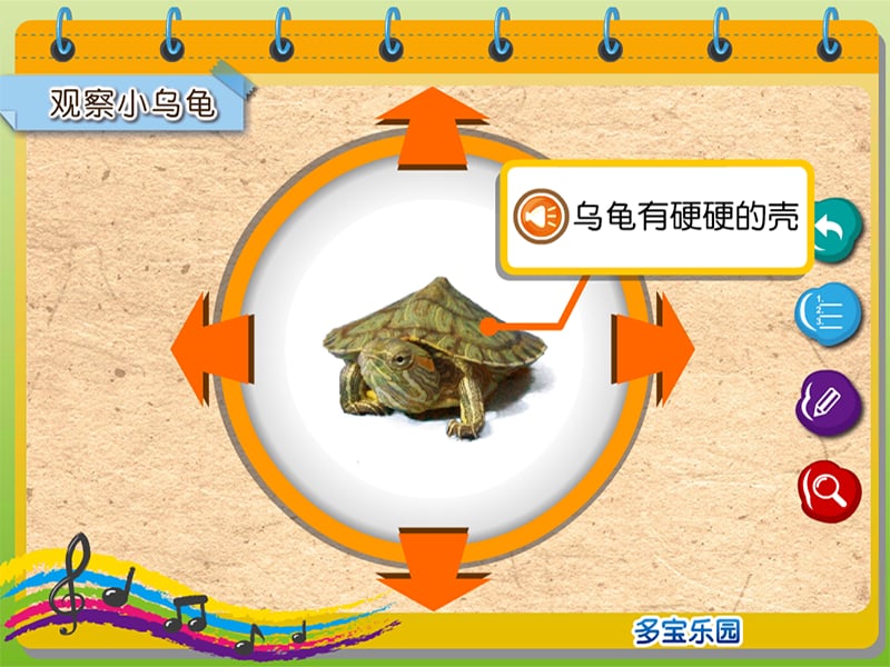 快乐的小乌龟截图5