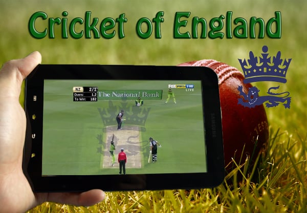 Cricket of England Crickt Game截图2