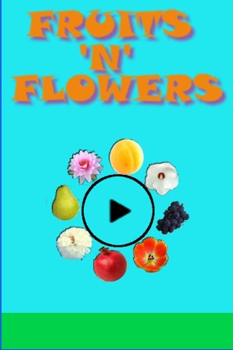 Fruits and Flowers截图2