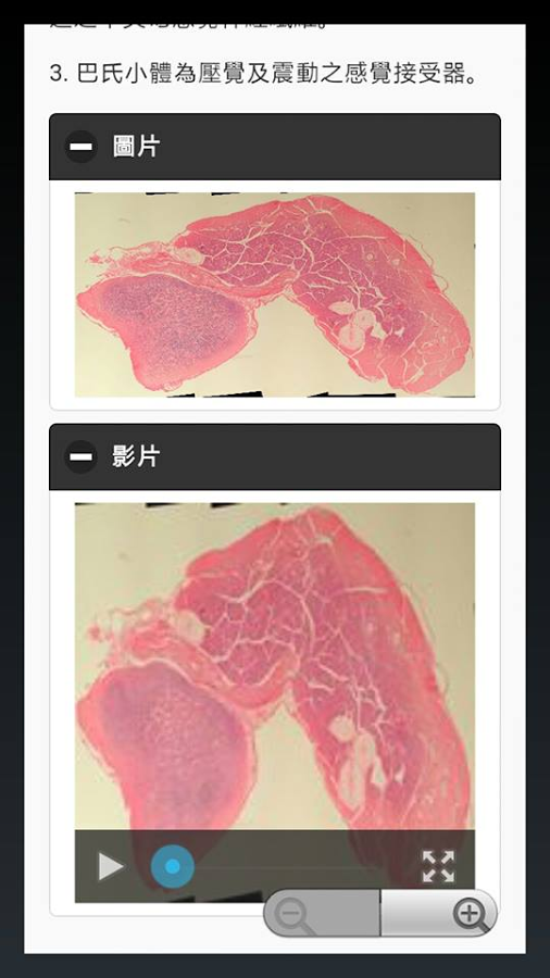 高雄醫學大學組織學課程-(Histology Course)截图3