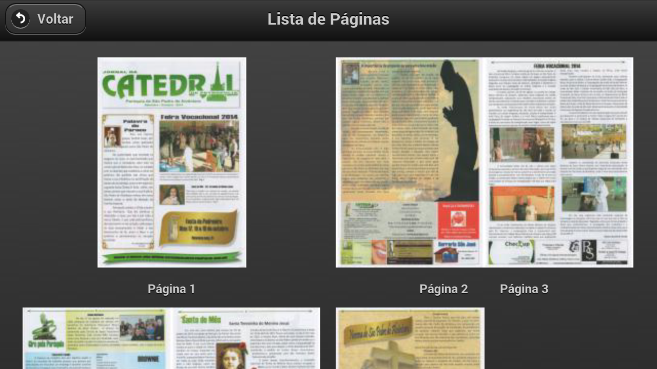 Jornal Catedral de Petrópolis截图1