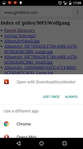 Download Manager Accelerator截图5