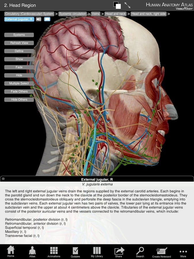 Human Anatomy Atlas (Org...截图5