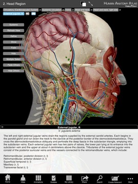 Human Anatomy Atlas (Org...截图