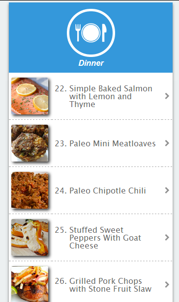 Free Paleo Diet Recipes截图8