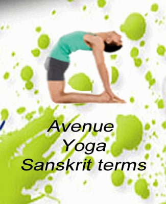 Yoga Asana Sanskrit Term...截图5