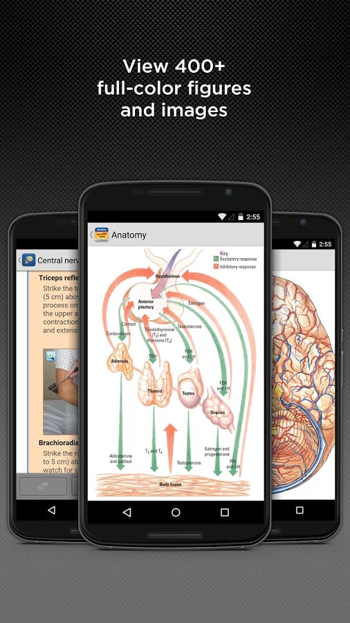 Anatomy &amp; Physiology Mad...截图7